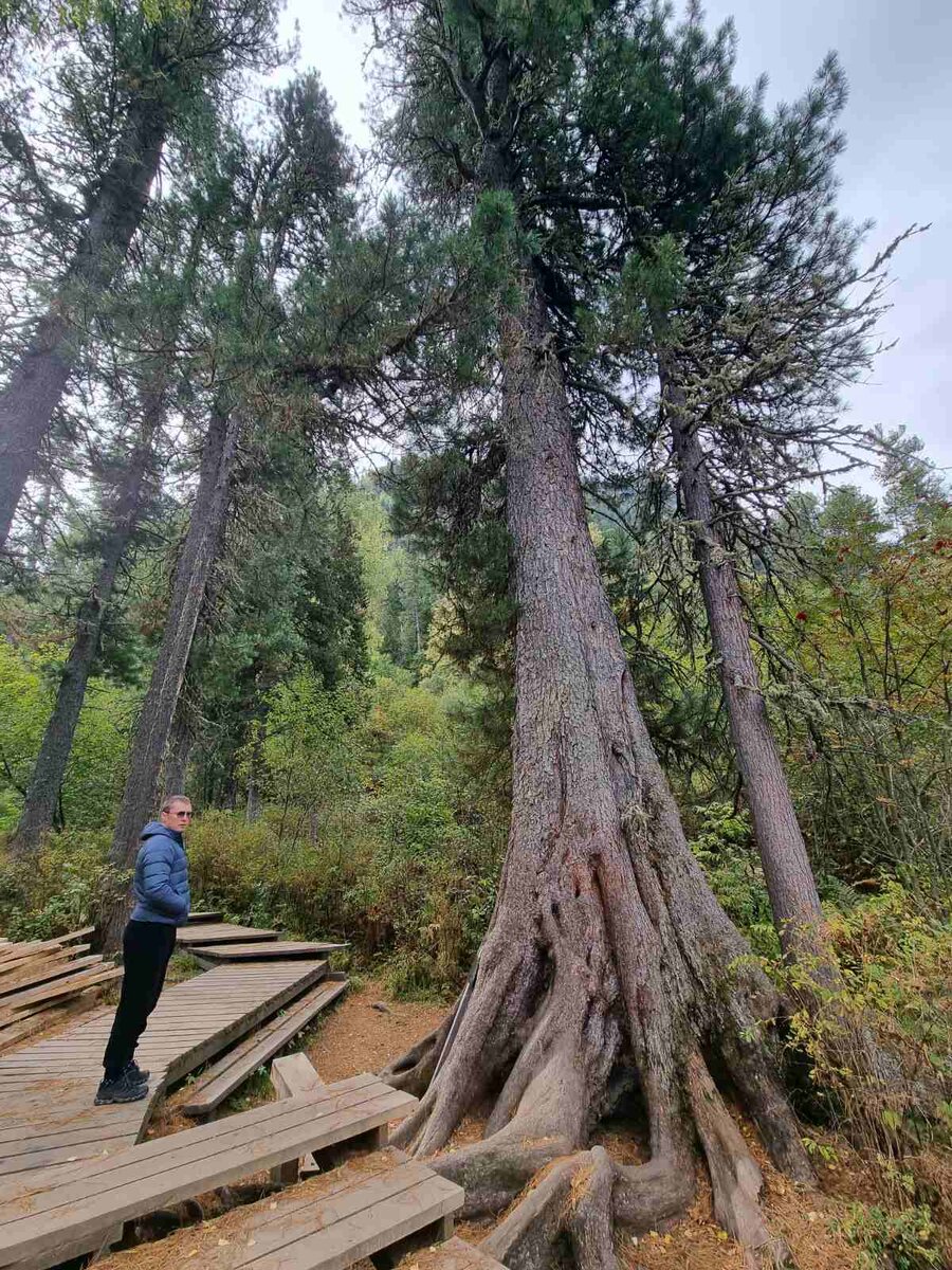 Одна из стоянок на Телецком