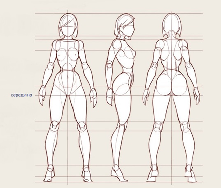 Анатомия тела человека для художников пропорции. Пропорции тела референс. Пропорции женского тела референс для художника. Тело девушки референс пропорции.