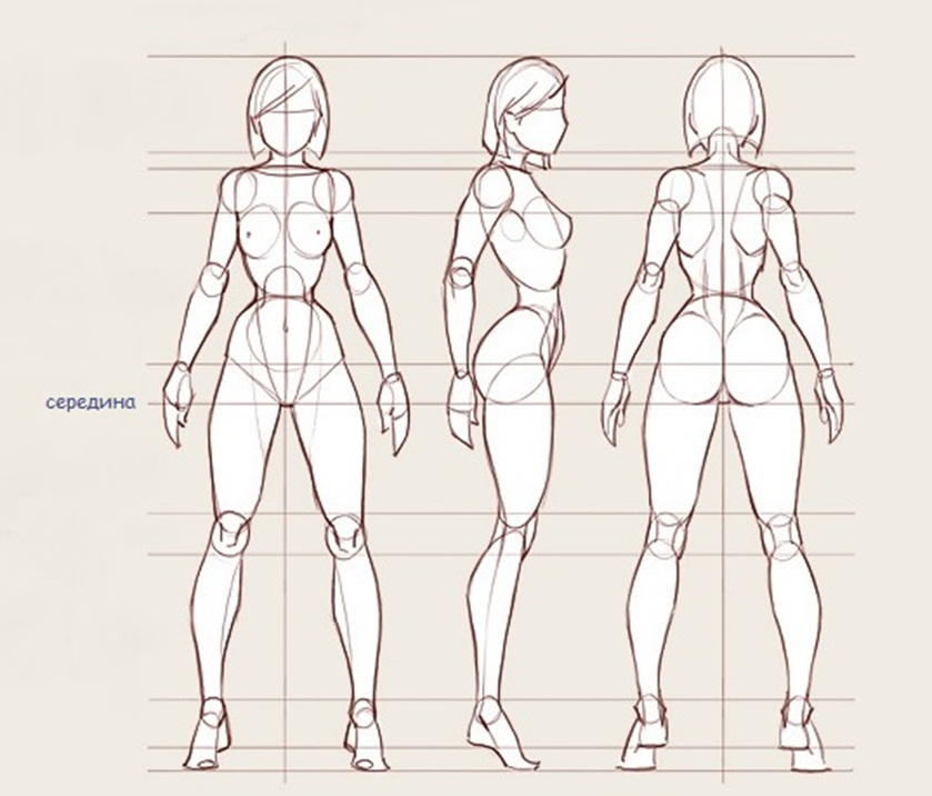 Построение тела. Пропорции тела референс. Пропорции тела человека референс. Пропорции женского тела для рисования аниме. Пропорции женского тела референс.