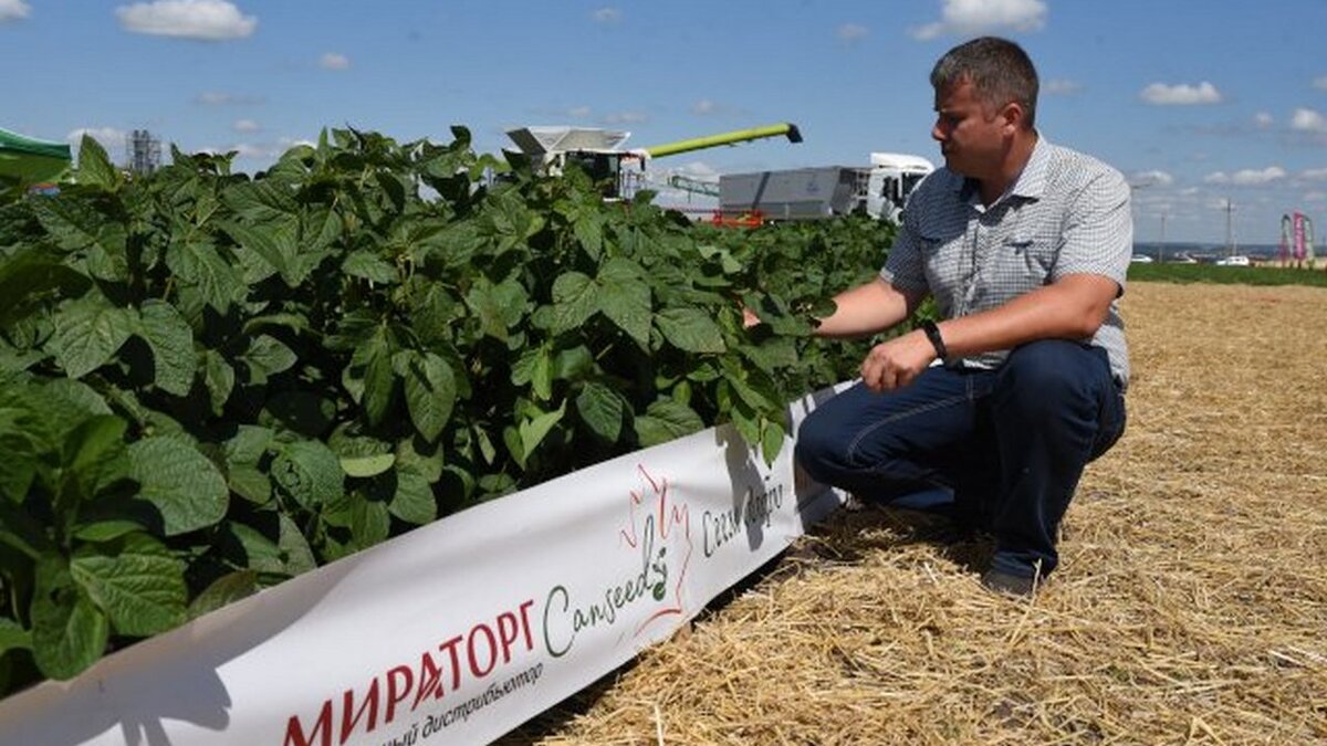    В Курской области появится селекционно-семеноводческий центр "Мираторг"