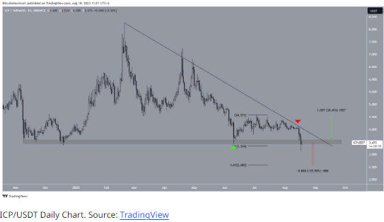 Фото из интернета
