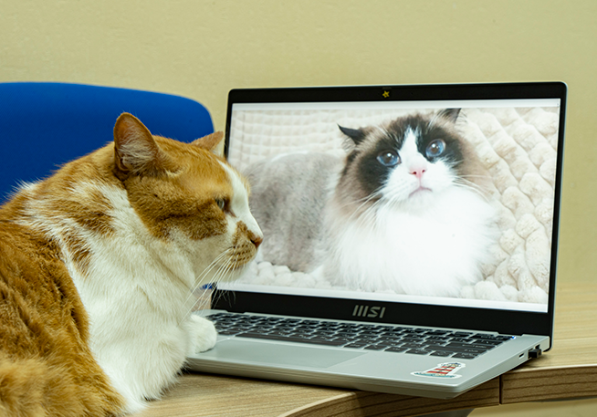 Встретился с Моникой. Как повезло родится в век интернета!