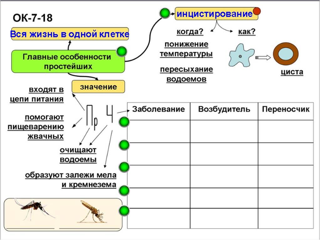 Пр значение