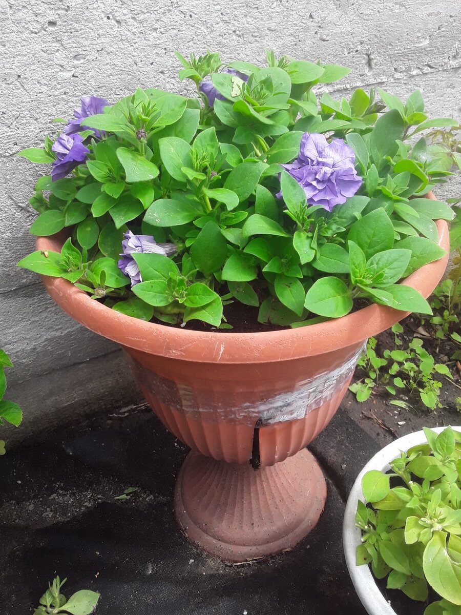 В хозяйстве всё годится