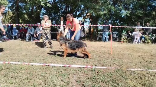 Порно немецкие сучки, смотреть секс видео бесплатно на Гиг Порно