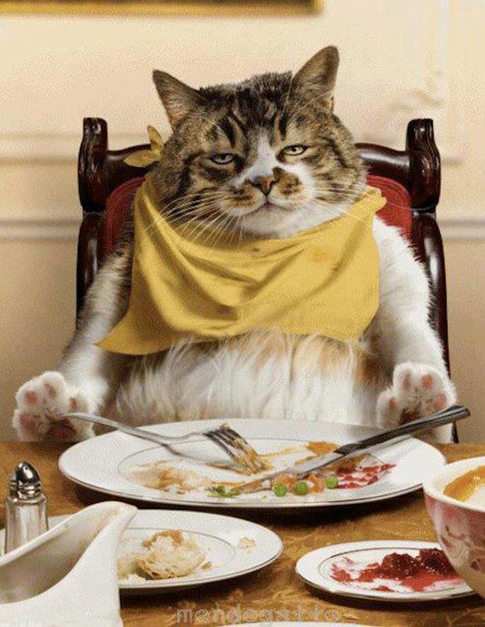 (фото из Яндекса)