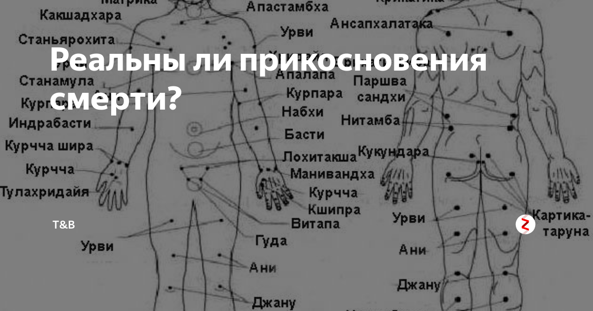 Бывшие точки. Болевые точки. Смертельные точки на теле. Смертельные точки тела человека. Опасные точки на теле человека