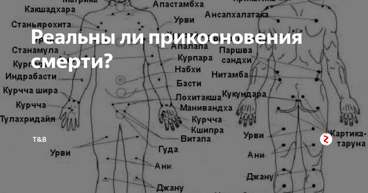 Где можно бить. Болевые точки. Смертельные точки на теле. Смертельные точки тела человека. Опасные точки на теле человека.