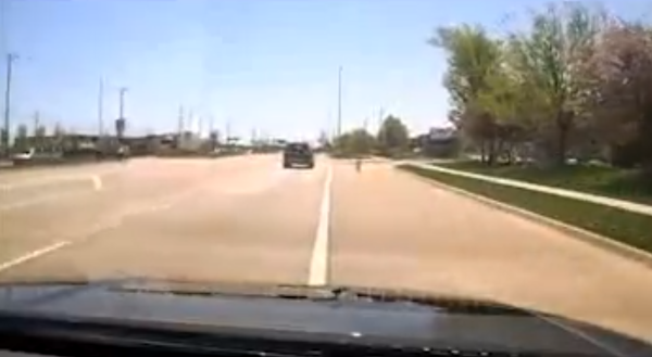 Скриншот/Naperville Police Department