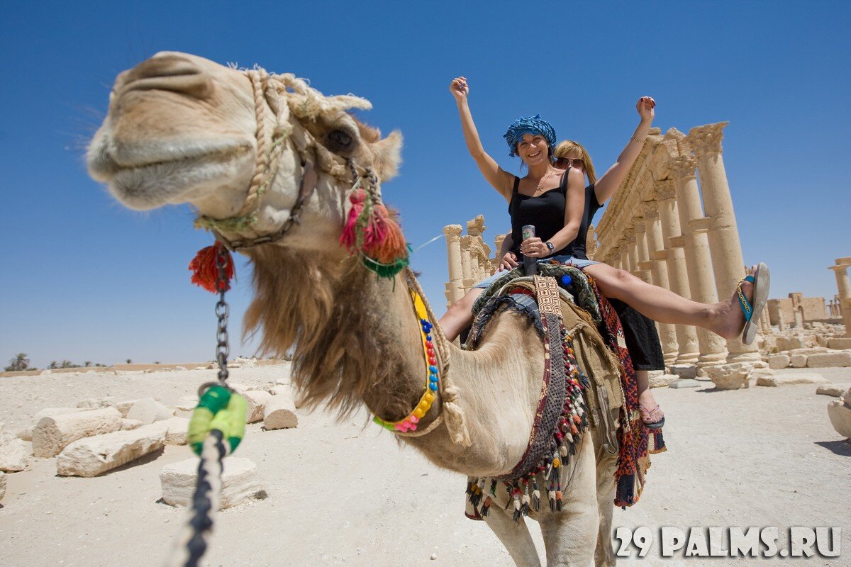 Анекдоты от Пафнутия. Фото bezikus - Depositphotos