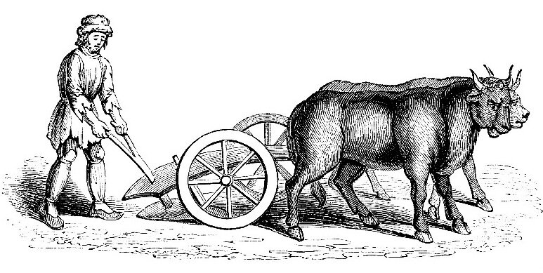 "Быко-культиватор" - медленно, но верно 