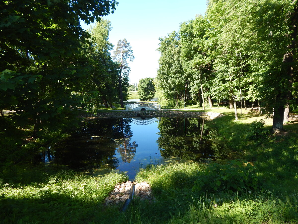 парк белкино в обнинске