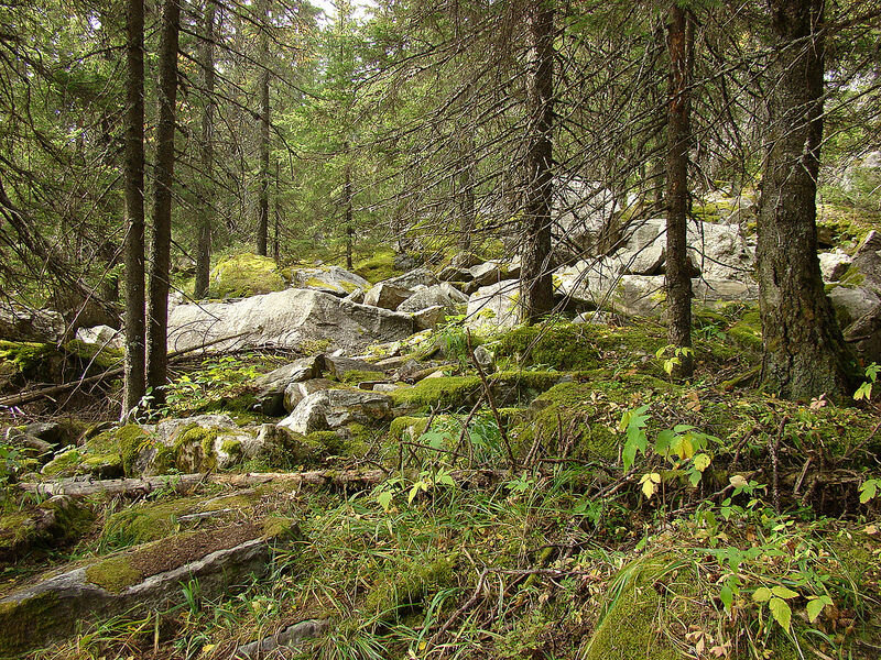 Фото ayampolsky на тренд Хайп / КС-СА