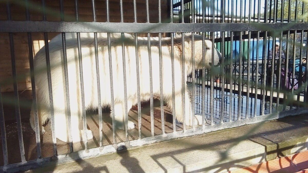 Фото: vk.com/spbzoopark