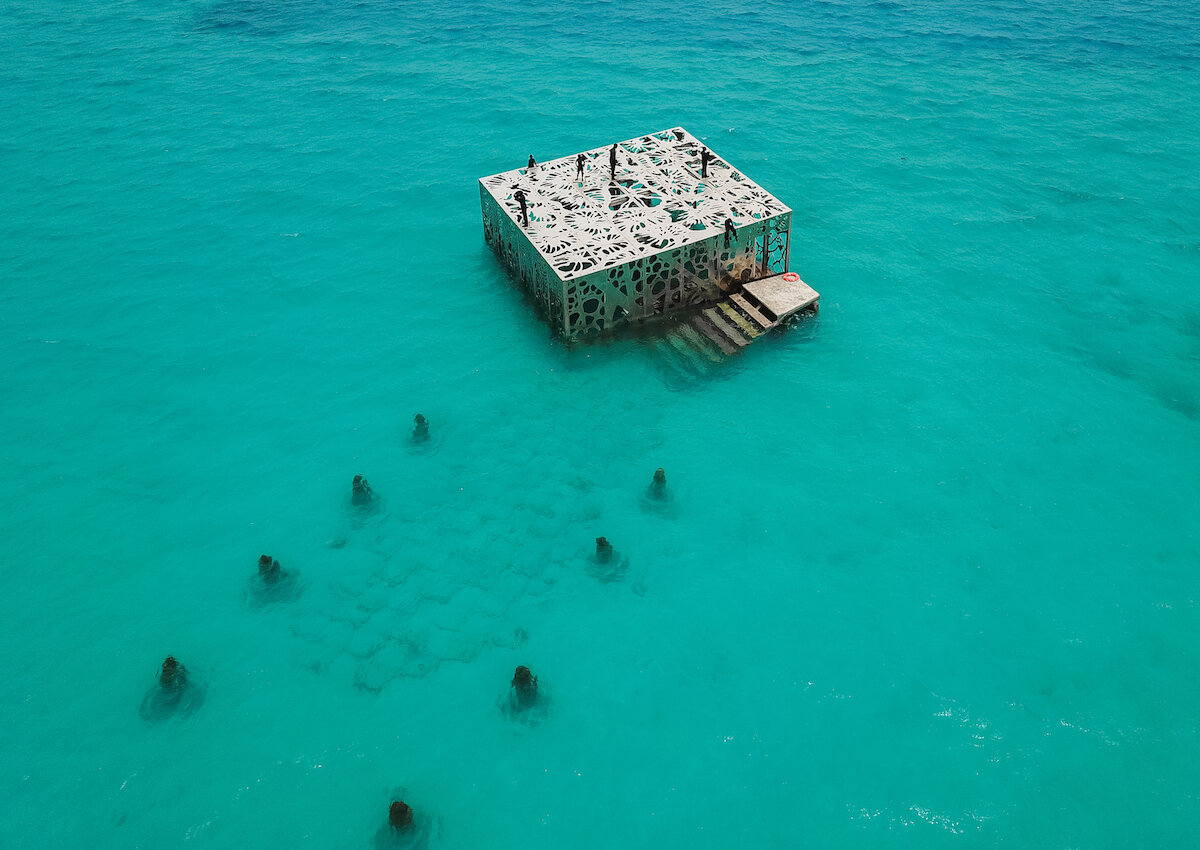 фото mymodernmet.com