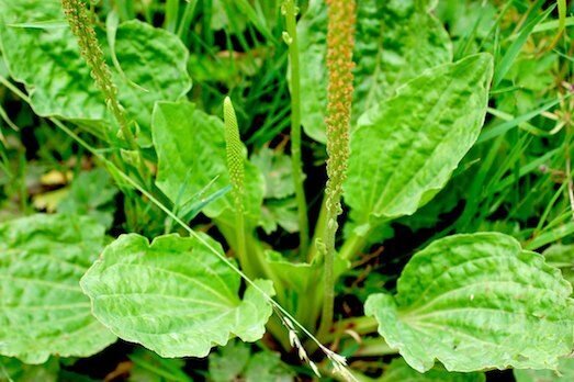 фото из сети