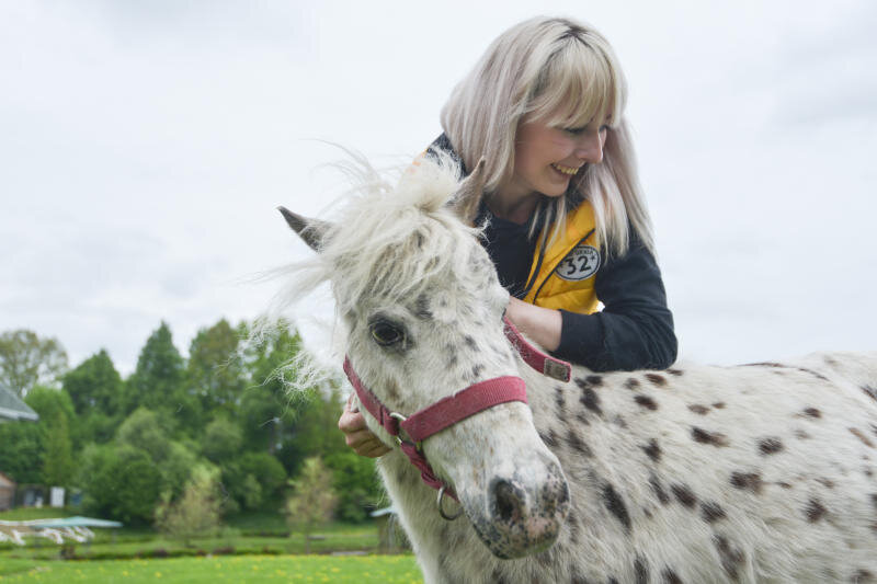 Сколько зарабатывают в конном спорте. Глюкоза рядом с лошадью. Как заработать на лошадях. Сколько зарабатывает конный триллер.