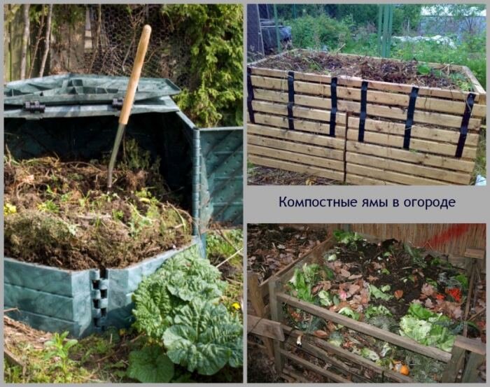 Как приготовить компост из опавших листьев – изготовление компостной ямы