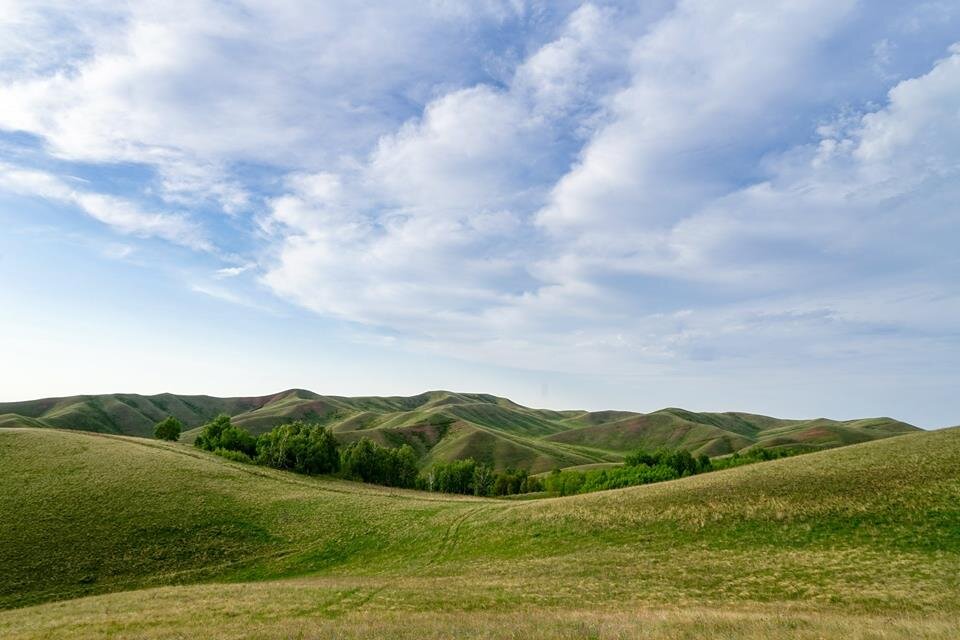 Оренбургский край. Орск степи. Оренбург леса степи лето. Степь Оренбургская Кувандык. Оренбургские степи Саракташ.