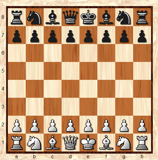 Игра заключается в том, что игроки поочерёдно делают ходы. Первый ход делают белые.