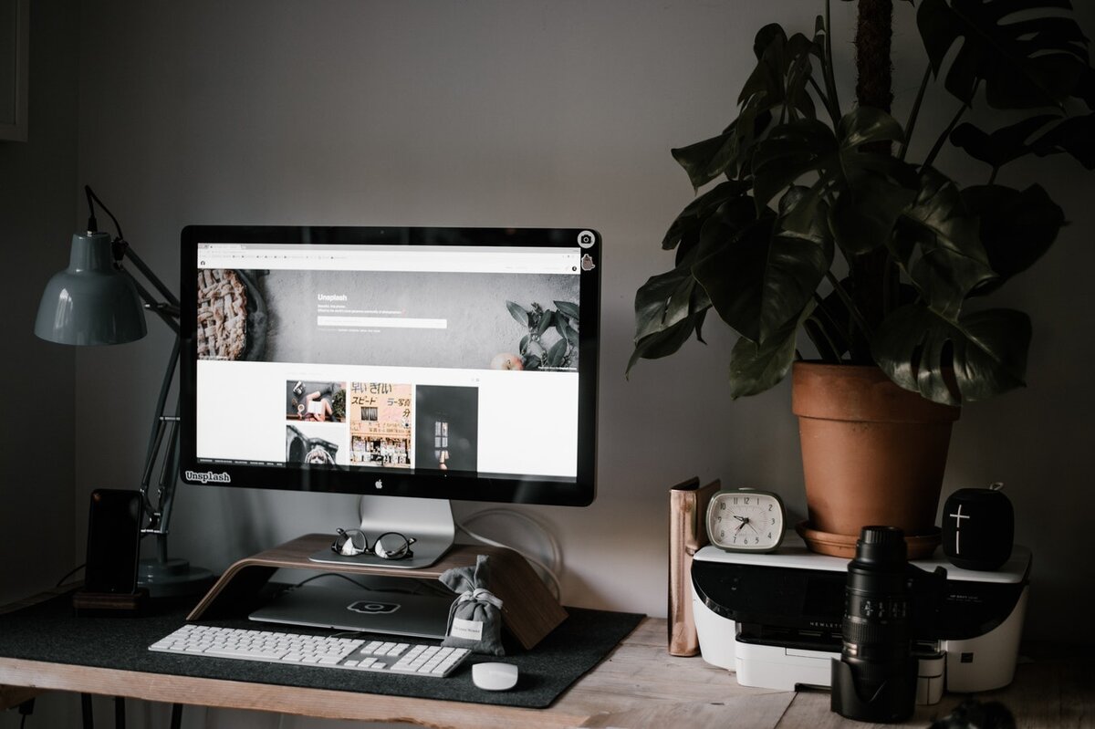 unsplash.com/@anniespratt