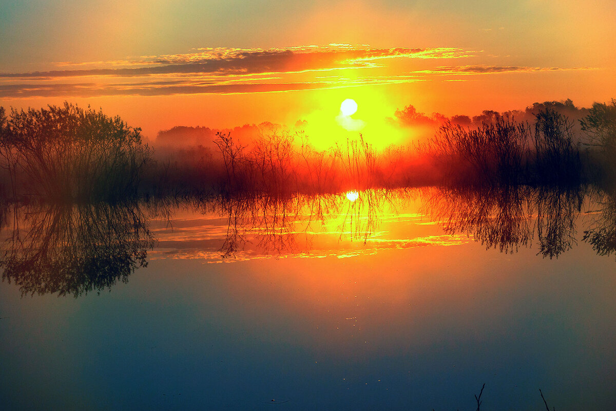 Картина утренняя заря