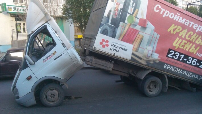 Газель старается рассмотреть новый асфальт поближе?