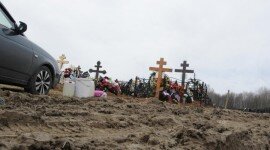 В калужских лесах нашли почти 200 незаконных кладбищ