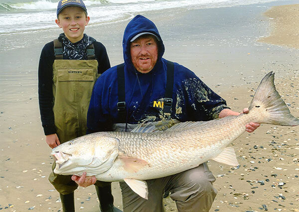 Фото с сайта: https://igfa.org 