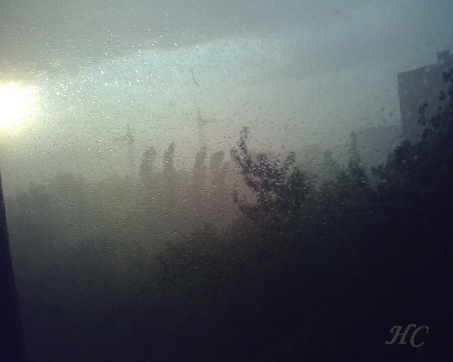 Фото Нины Стрелковой.