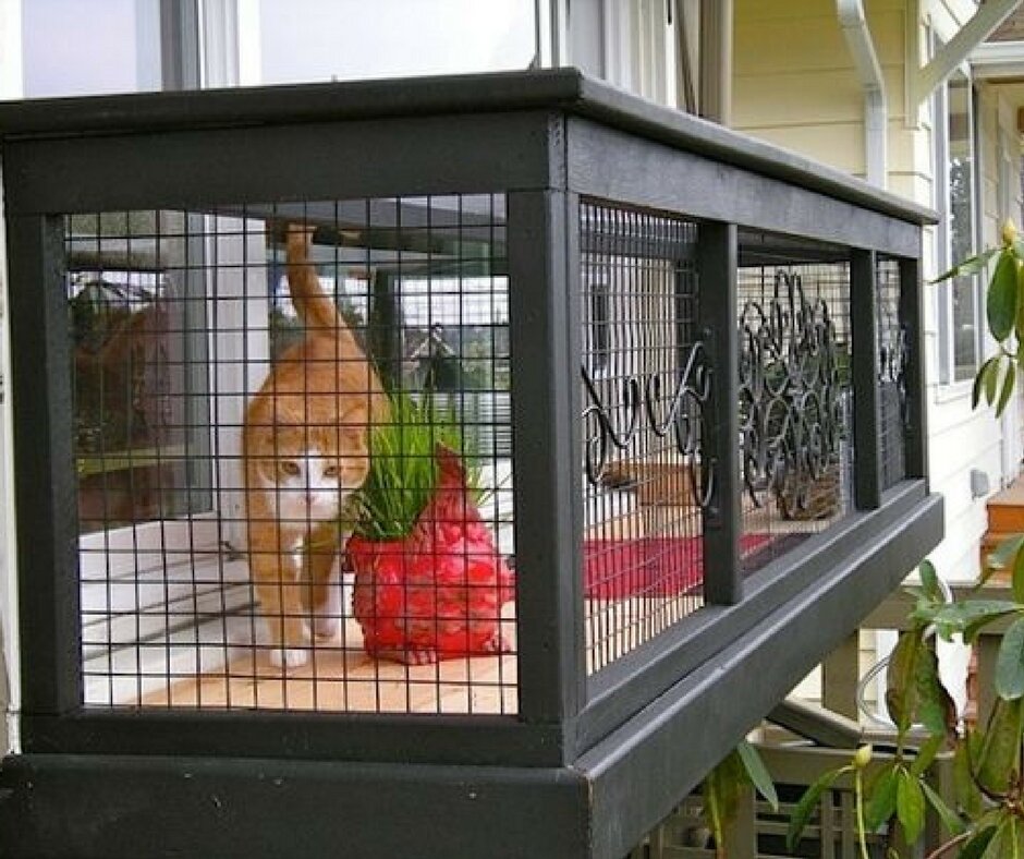 Кошки в окне купить в москве. Катио вольер для кошки. Вольер для котов на балкон. Вольер антикошка. Вольеры для кошек на окно.