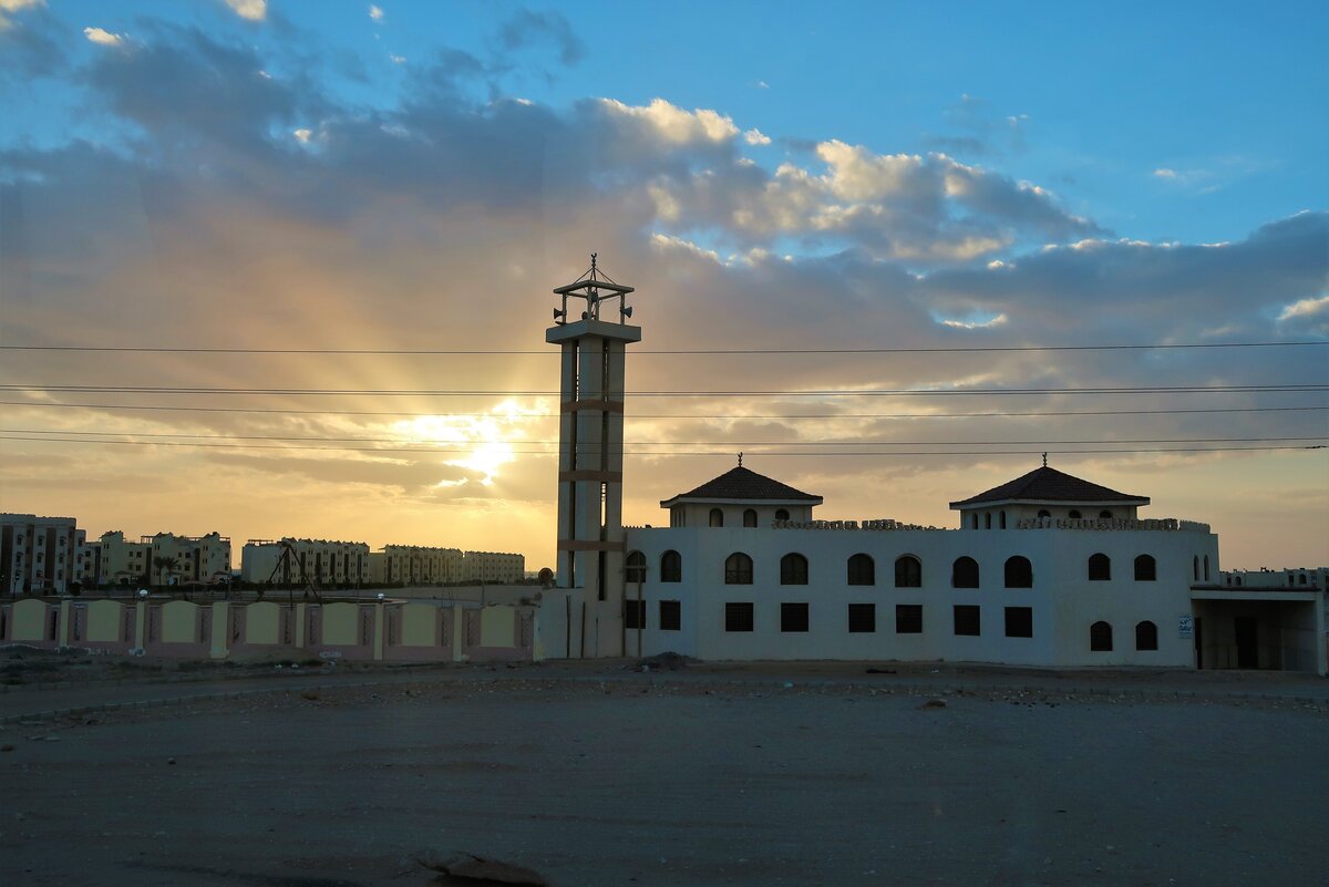 Фотографии автора