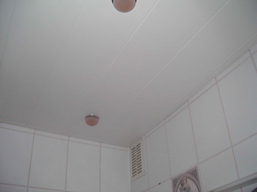 Потолок из пластиковых панелей