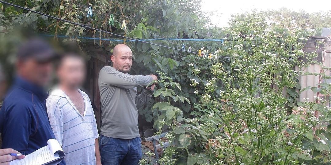 Жизнь или Алкоголь