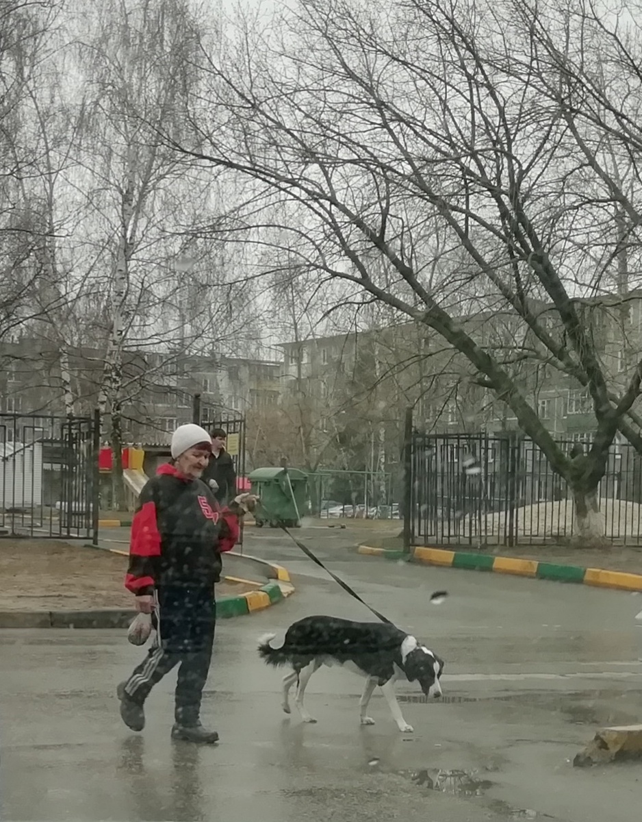 А вот и наши герои. 