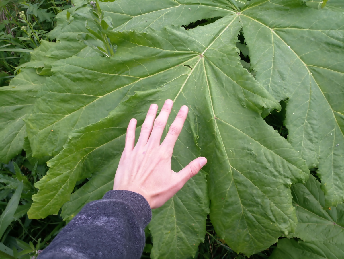 На днях встретил одного из них, здорово провели время. (даю пять)