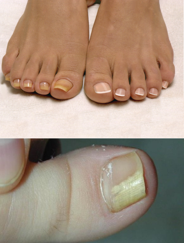 фото взято из открытых источников