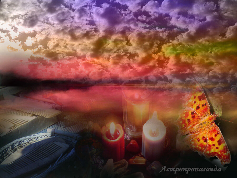 Коллаж Нины Стрелковой.