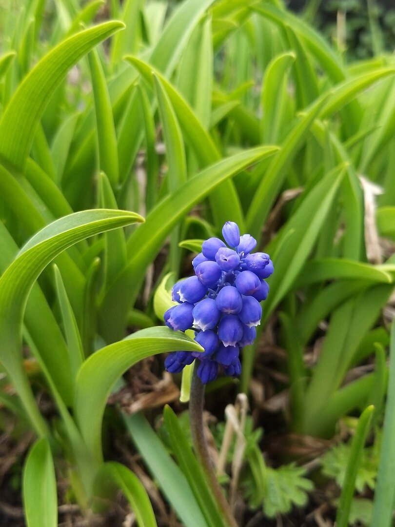                                                                                                  Фото автора статьи