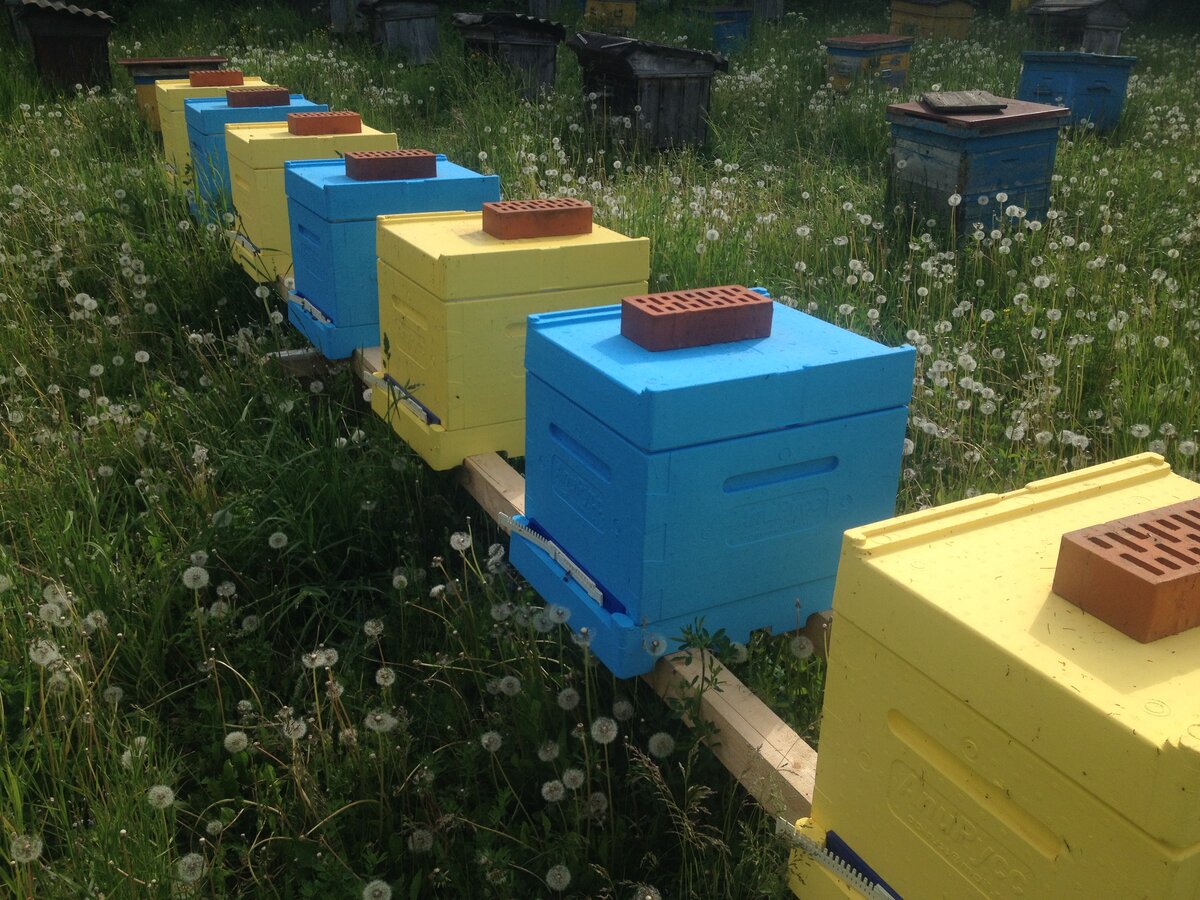 Чтобы крышу не снесло)))))