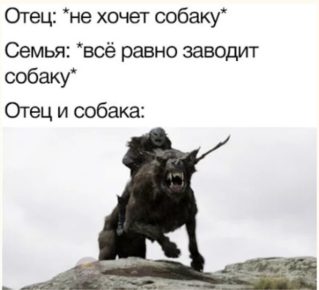 Папа не хотел собаку фото