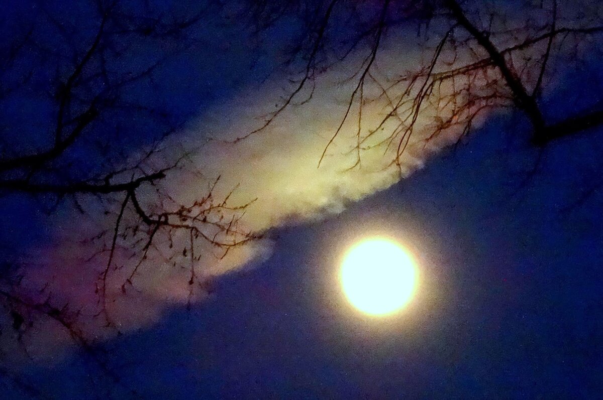 Фото из интернета.