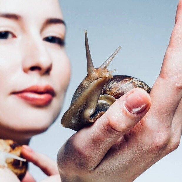 Источник фото https://blog.maisonroyer.fr/wp-content/uploads/2015/10/creme-bave-escargot-bio.jpg