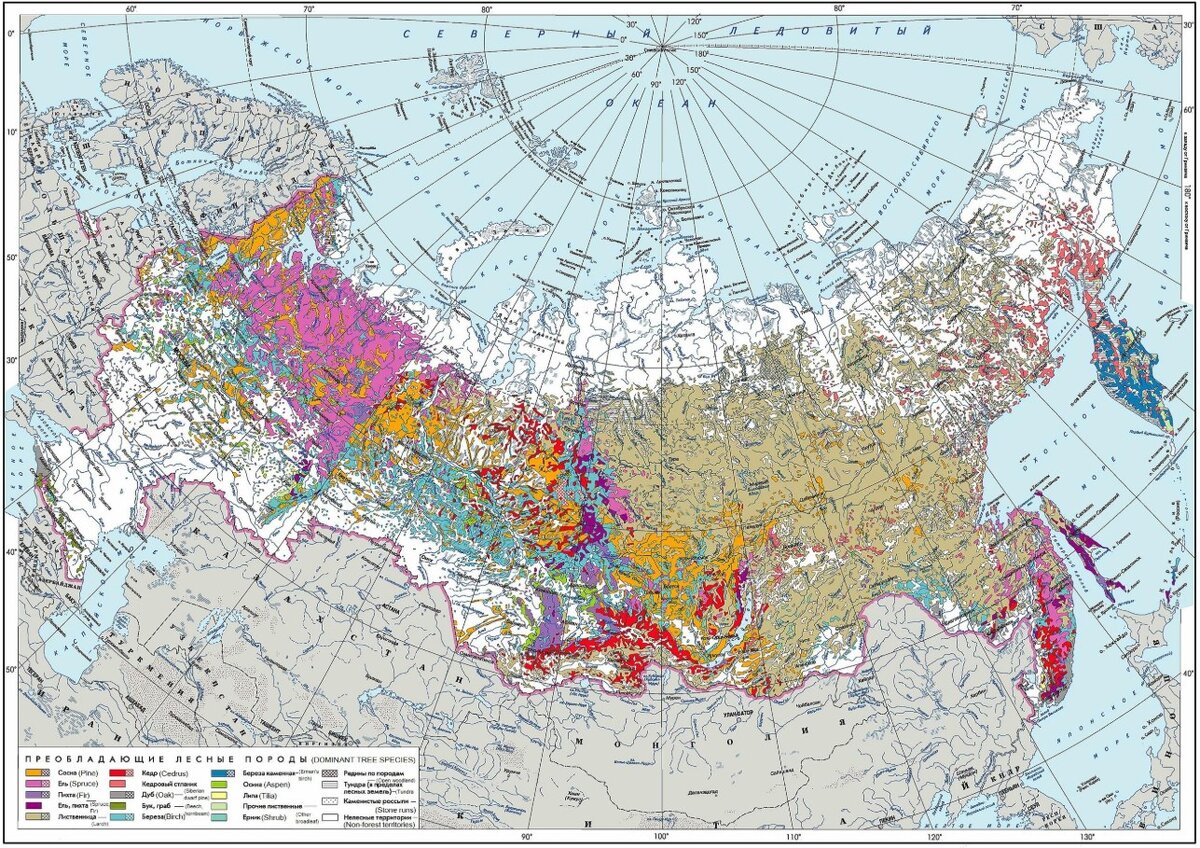 В высоком разрешении - https://i.redd.it/dsnvo8dqtgc31.jpg