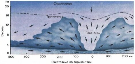 Строение урагана