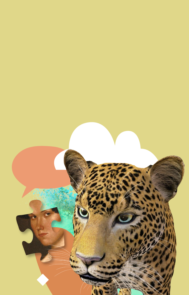 Пример карусели изображений из нарратива про интересные статьи в Яндекс.Дзене