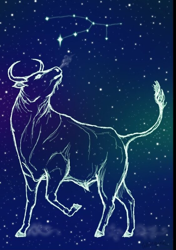 Созвездие быка