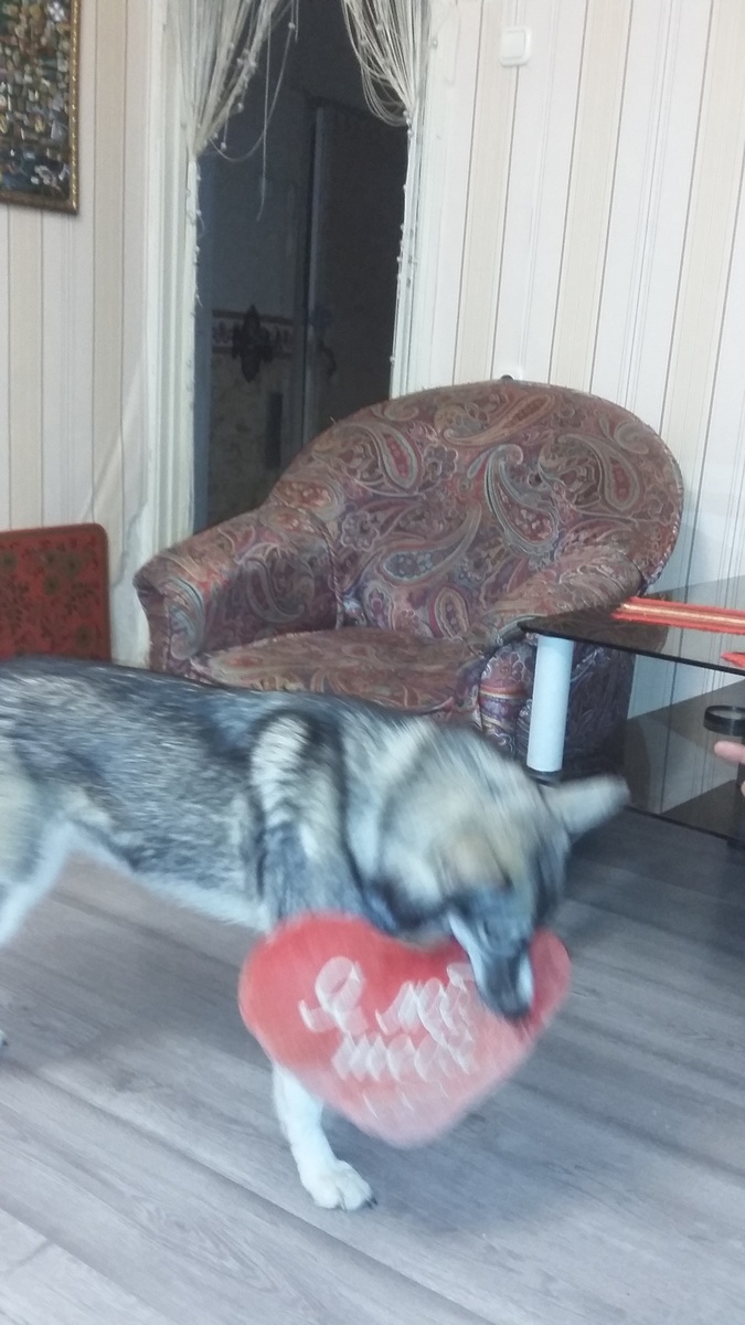 Признание в любви