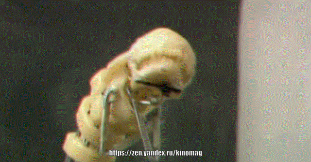 Аниматронный Грудолом репетирует