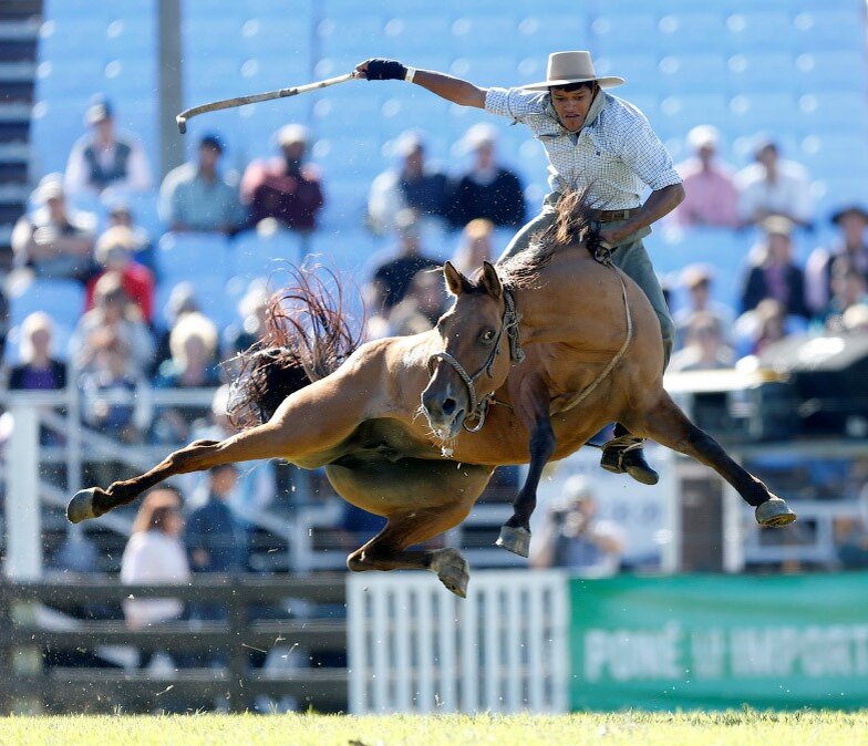 Яндекс Картинки